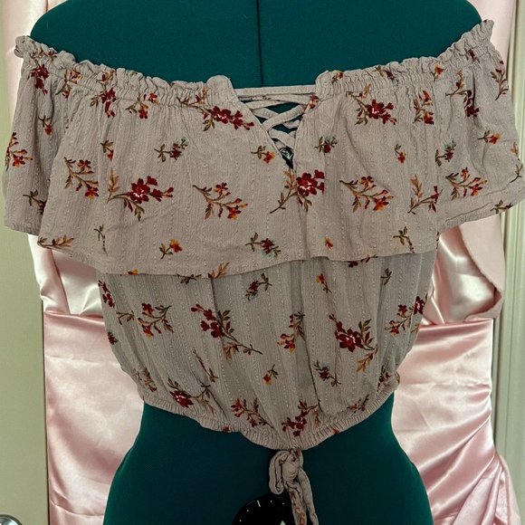 American Eagle Outfitters Tops - off the shoulder cropped top